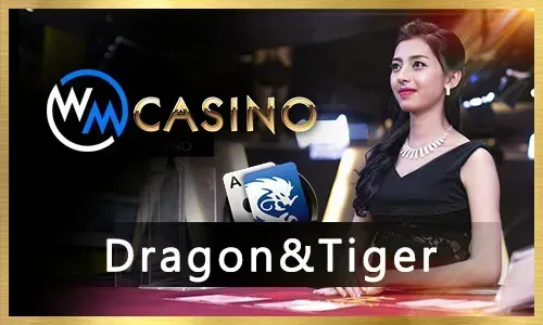 99jili Sports Betting